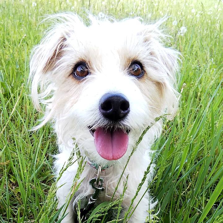 30b45dee 65c5 407c b695 a9f6c21483b3 1557120740833