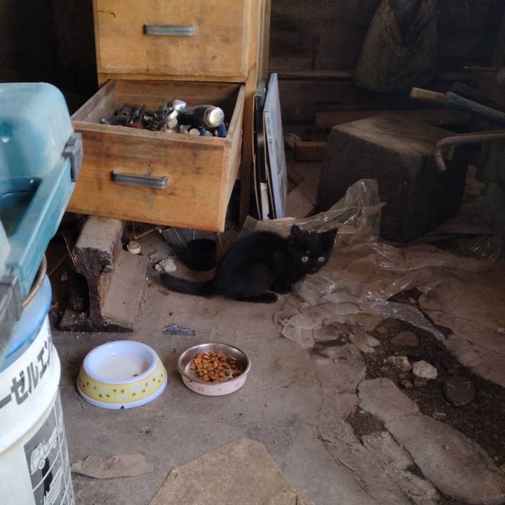 30b48684 7750 4a9d 8b10 28a22bbd077c 1690199288520