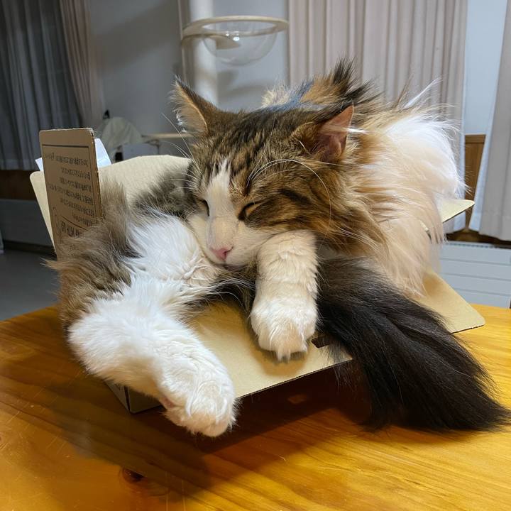 30b49e00 eeee 4fbe 88c8 41d9b11ab3b7 1673002649596