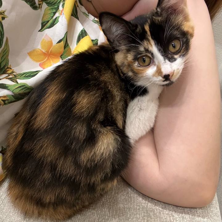 30b4aace 21f7 460f a092 287192ff4492 1756884113466