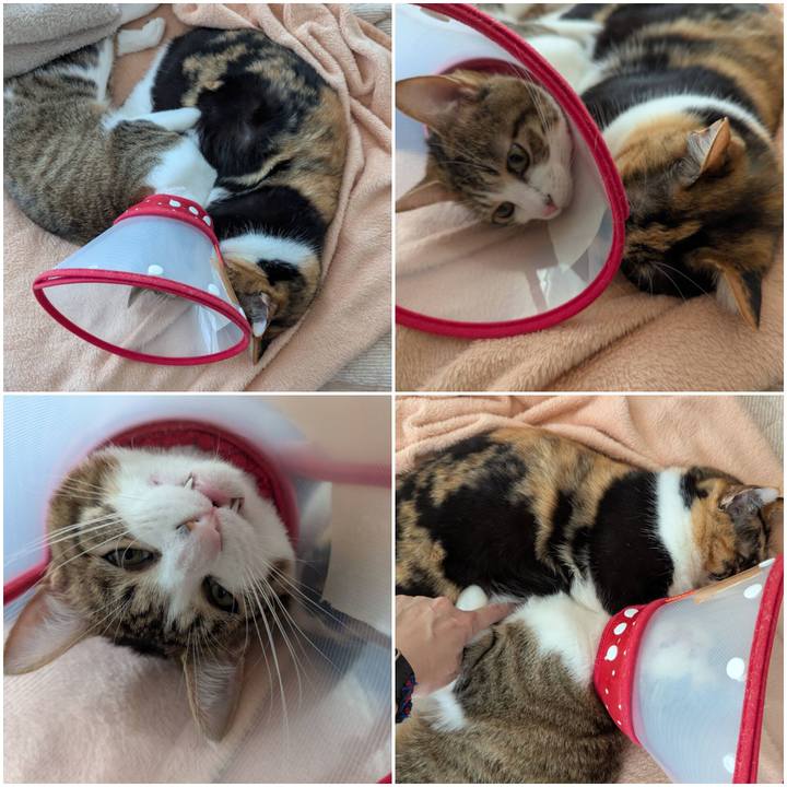 30b4dfc1 1957 4fb7 b311 48a93e764a98 1746071561866