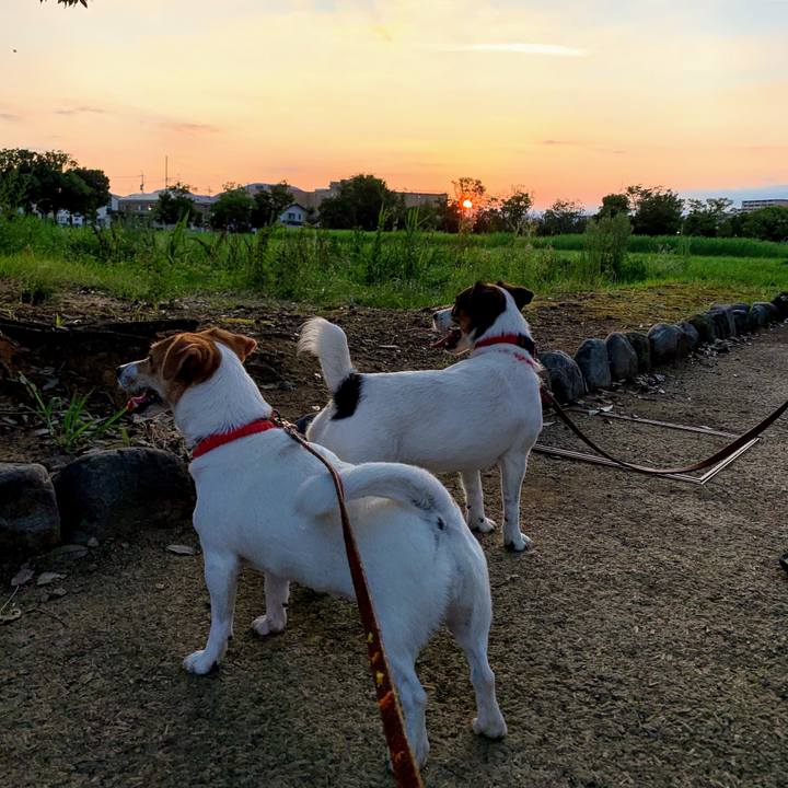 30b50a9e d3f6 4ba9 a98f 261f7f05a2bb 1564912698008