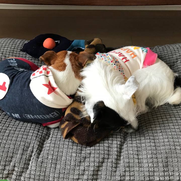 30b530ed b790 4177 b44d a83b4120eeb3 1512011438027