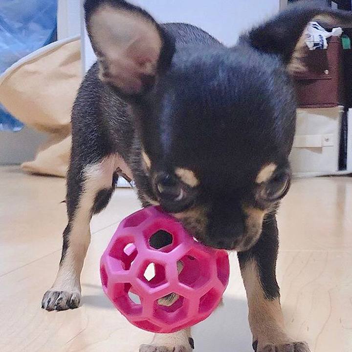 30b54477 b946 403d 8a92 e95037427bcd 1562151712016