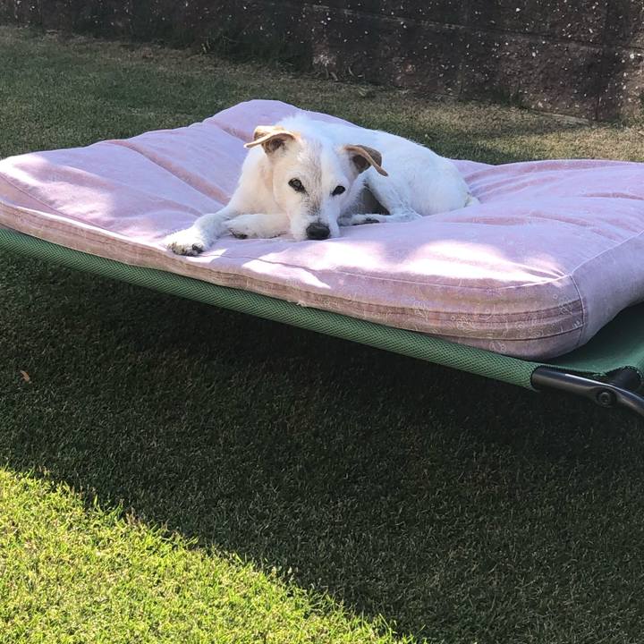 30b57b29 dec1 4e7b a7b7 7721c413c4aa 1636077436654