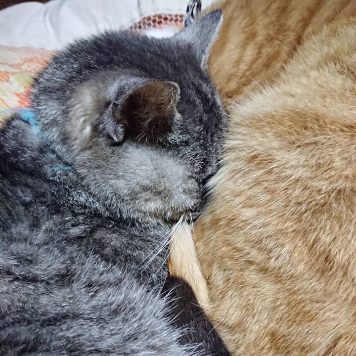 30b582a8 a1d9 475c aeb9 3a976547405a 1574857194493