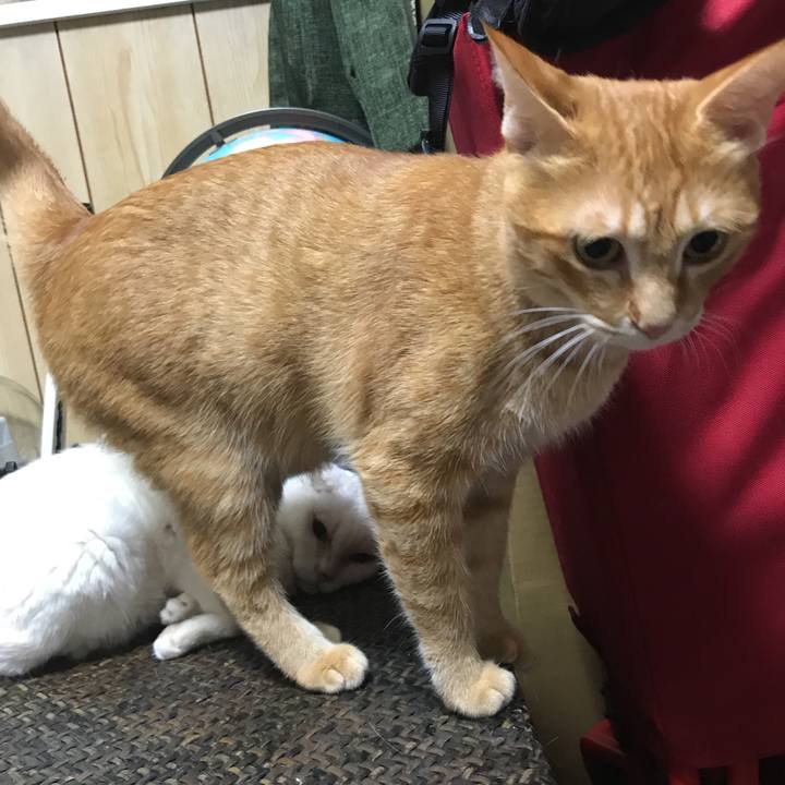 30b59c1c 9ab1 4a55 afb1 0440ffcbd7e6 1536582759315