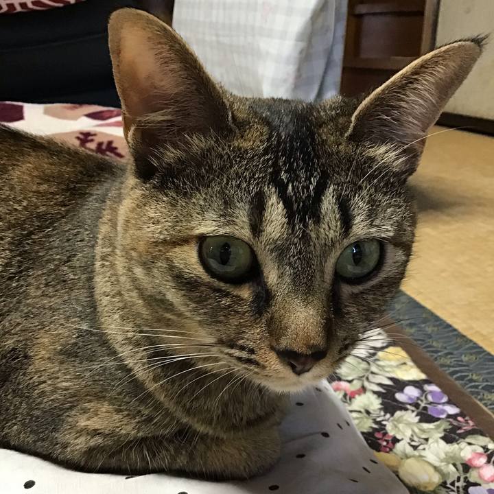 30b5a6ff 9b84 4a9e bcbd aac10dd0680b 1596158623887