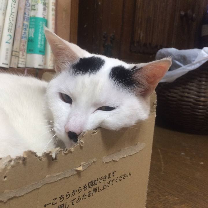 30b5b183 67c7 4a06 b767 aae254e19faa 1508159410519