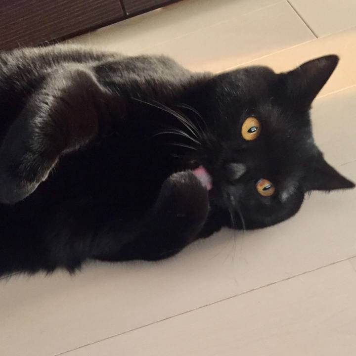 30b6178e b719 458b 81fe e11874d76f6d 1552658727424