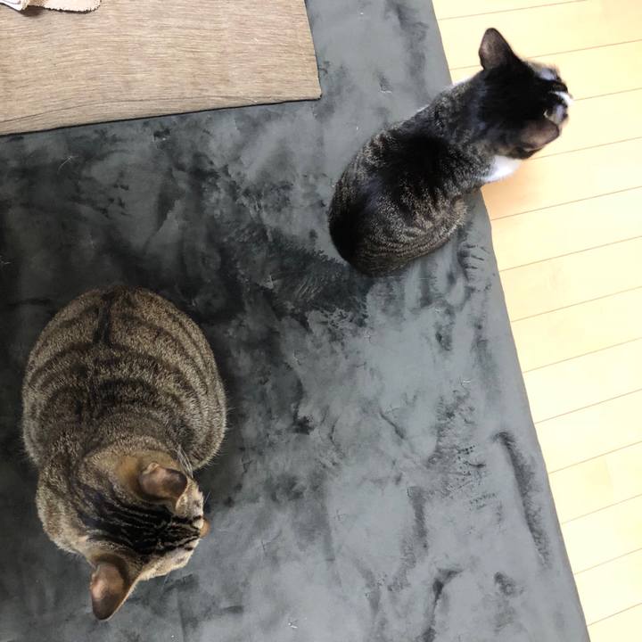 30b6377a 2d66 4745 9e1d eeb1aef8ea57 1517366122639