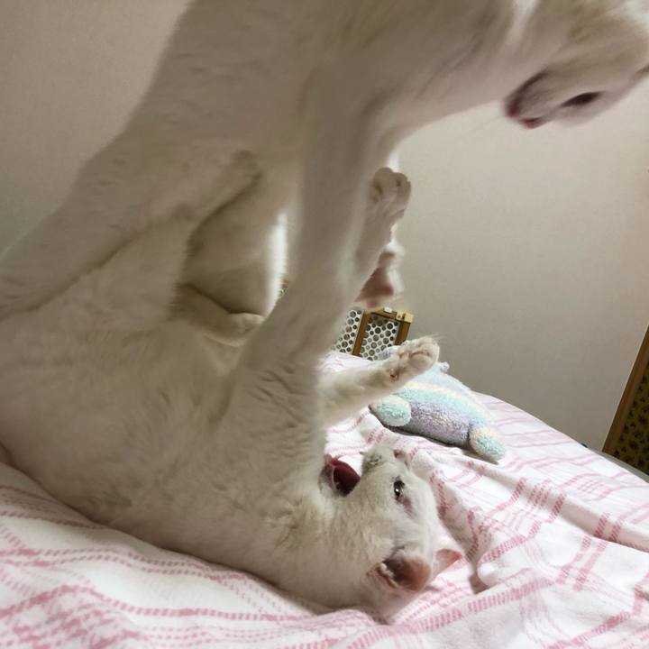 30b63b9c 4594 4cf5 bee5 ac17fcf21167 1564554889206