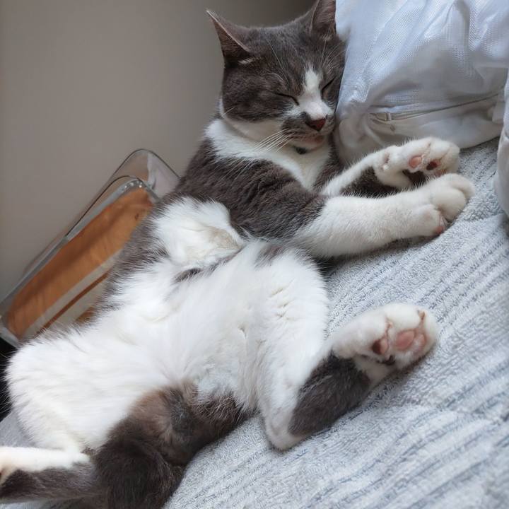 30b6574d 5995 4208 a35f ebcf01859537 1719215645619