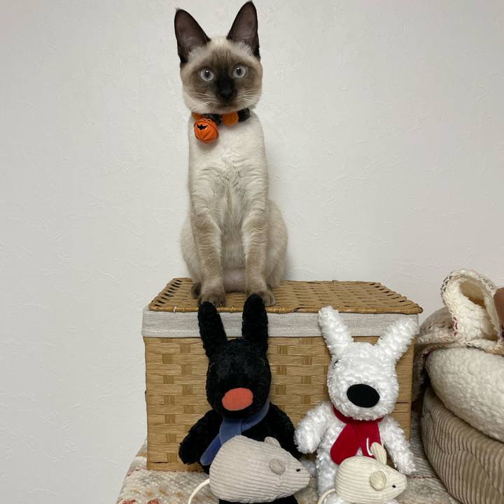 30b689f4 818c 4e9d a847 60fa9aa7f800 1697916076930