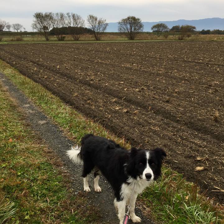 30b6e018 cecc 4436 85a9 d44e96ee853d 1575674666601