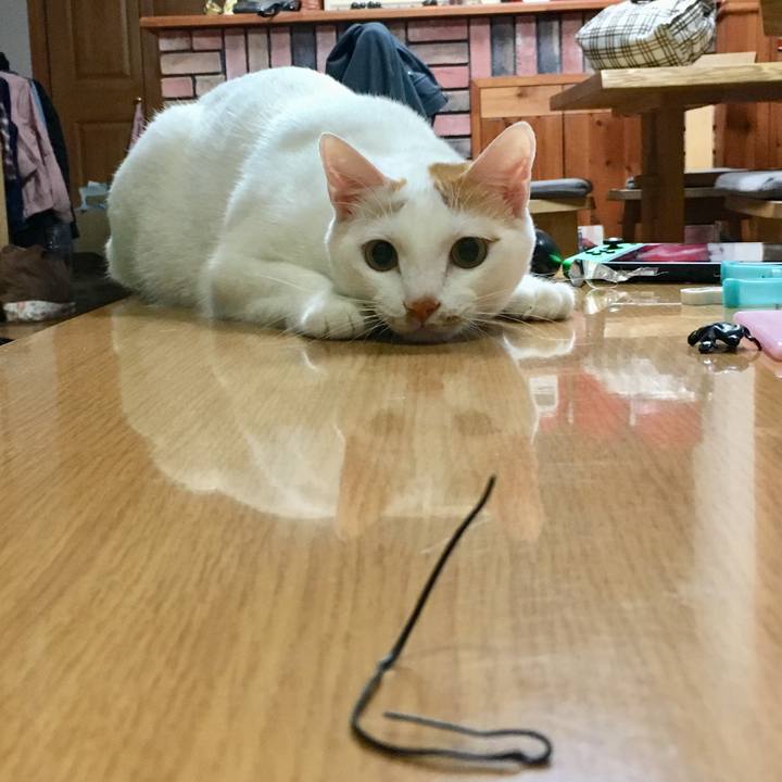 30b6f61c 1eb0 4616 9bd3 16c006453821 1541735212586