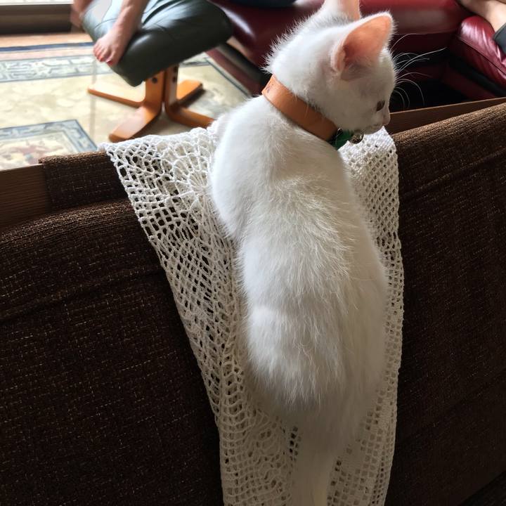 30b710fe 4037 4878 90a8 800e3a50c71a 1594952498204