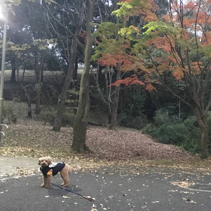 30b735f0 3833 4f48 ba1e 7aa34cbf71d9 1511340581342