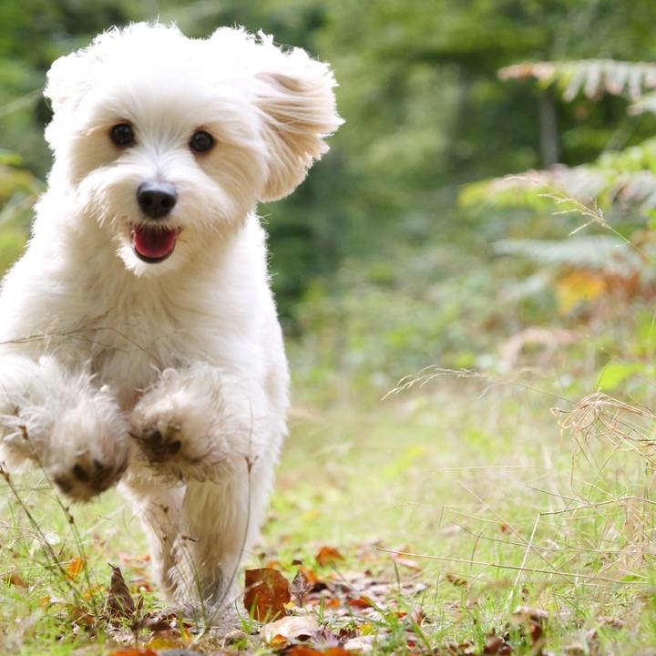 30b74dda 76cd 47e6 840a 634942620c67 1759561552083