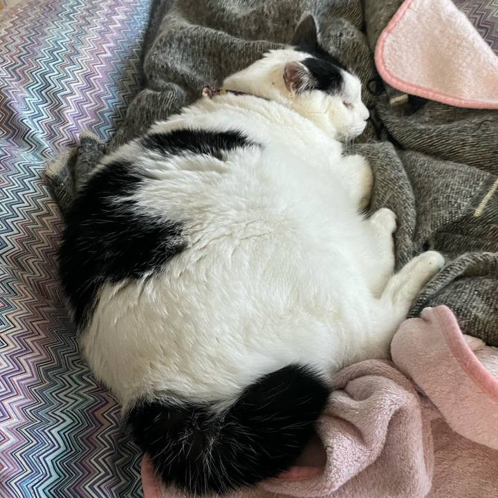 30b7c244 0df6 4255 a369 b8f77b1406f5 1704771893332