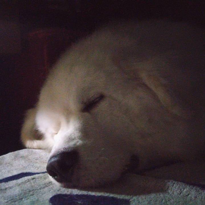 30b7c648 474c 48a2 86d9 2a49d92334fc 1694868897110