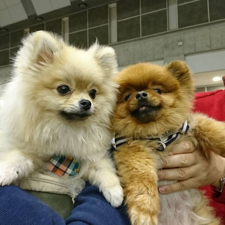 30b80a3d 2629 4414 b313 140e20c86db3 1522636114238