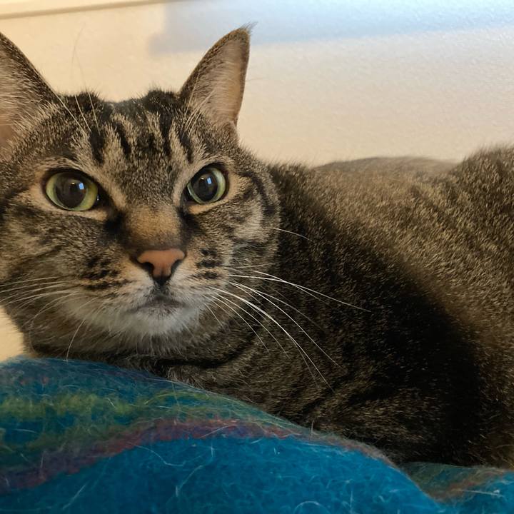 30b81e93 6bc7 407b 8a72 fe3081b3ff9c 1709696319147