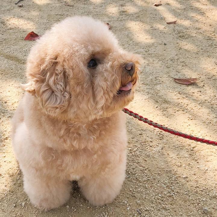 30b82792 9711 46cc b819 1a8575025536 1509848082682