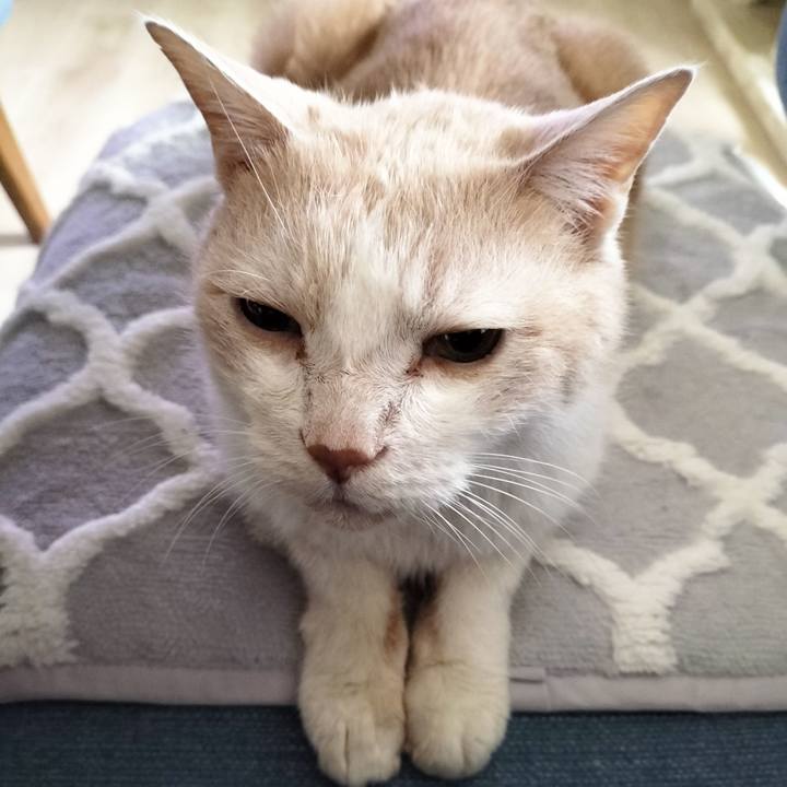 30b82d8e 2adb 4be4 bcba 3cf3ab39f061 1699481986671