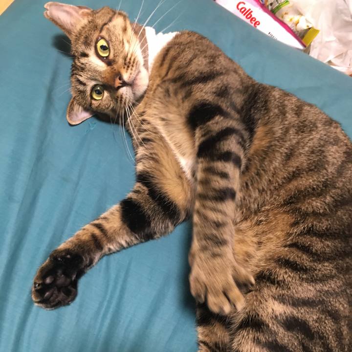 30b8559b 4c23 4926 a962 08dcb4ac94a9 1531284892919