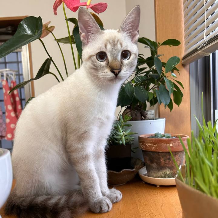 30b88eff c6d9 4449 84f8 ac41c5398f09 1727905040153