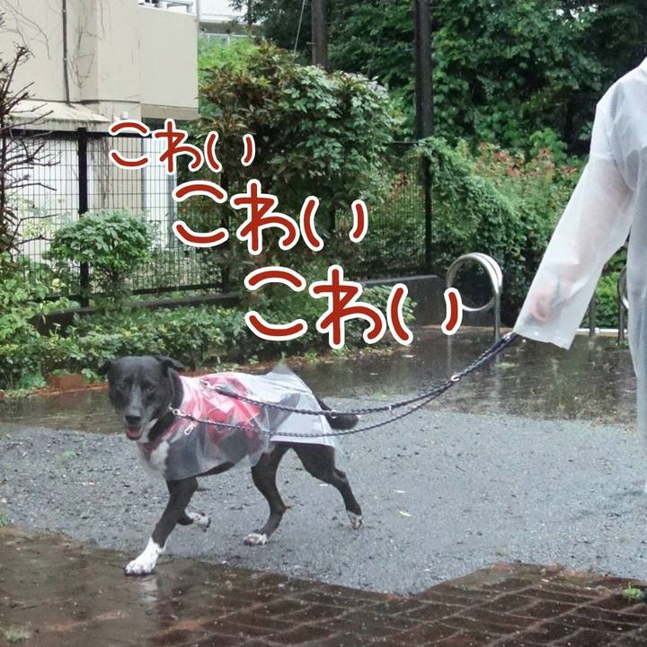 30b93fb6 0b78 4c22 9345 8a9f1c33df34 1633045530226