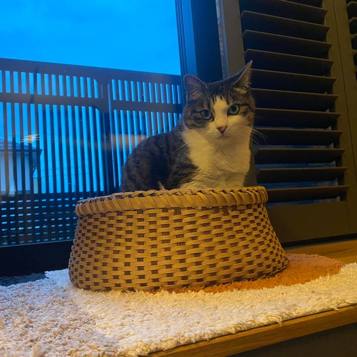 30b95679 bb81 4d8b 9234 284ff1985c66 1749463343369