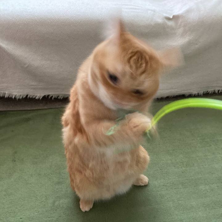 30b9601d 5c5e 41eb a2c7 c6097e74b884 1770509282114