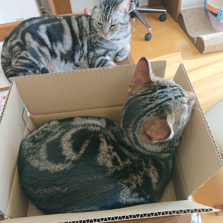 30b96f9c 7145 4631 8860 cae69649f54a 1583212340889