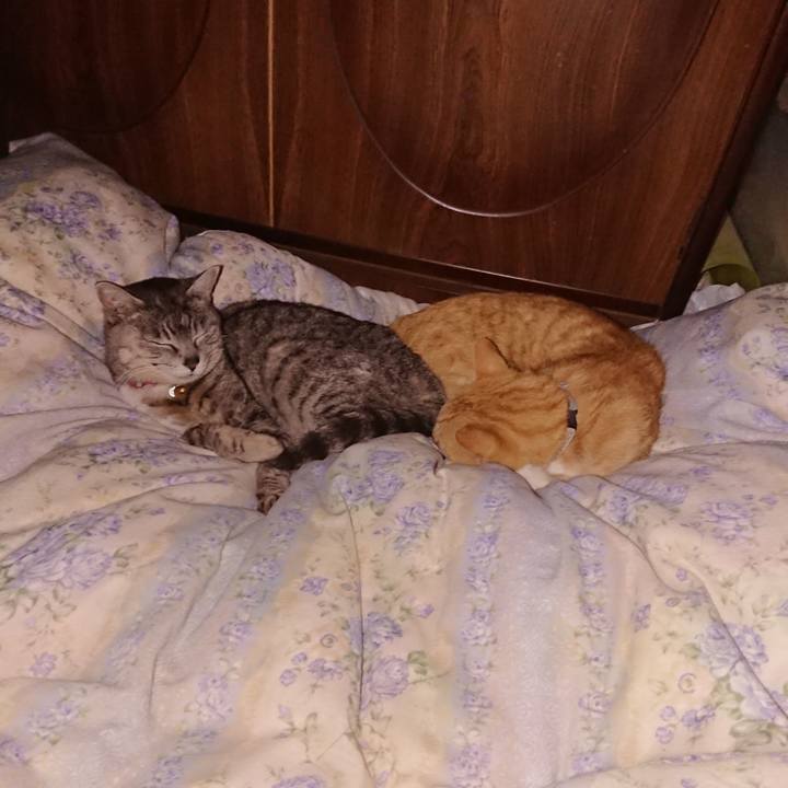 30b9774c 8381 4f20 a211 160e45b5ebe9 1588344119934