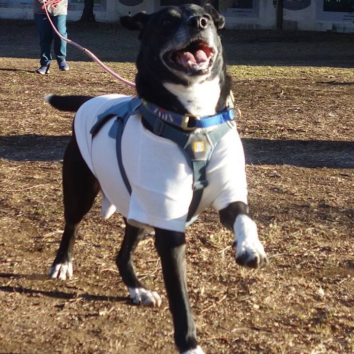 30b987b0 68a4 47c6 b0e4 ed3fcc5d81df 1706491256914