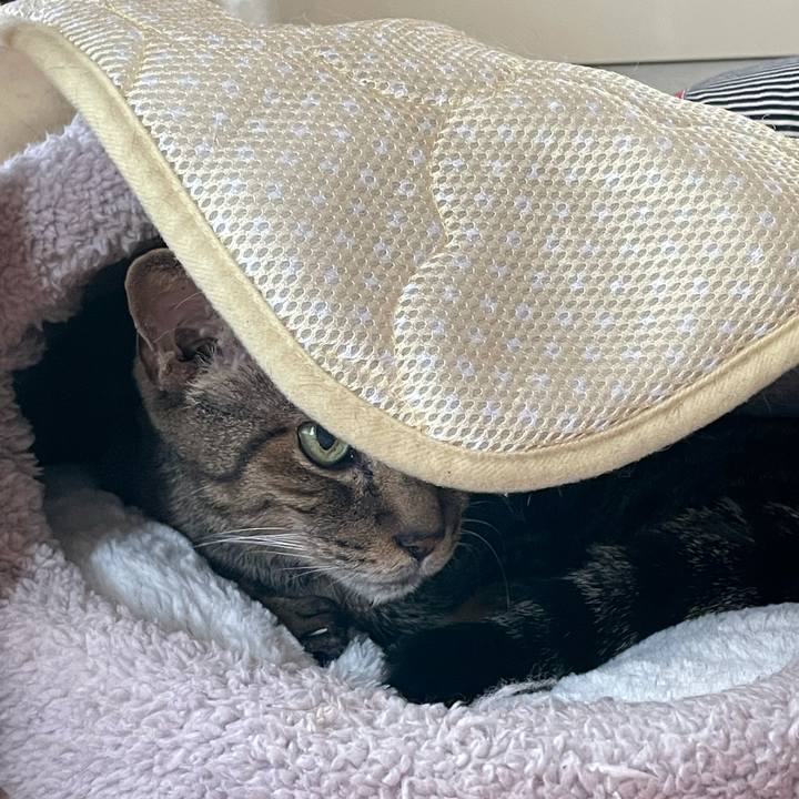 30ba2c70 2c9c 43bb 900a 572cd9d93604 1629679836910