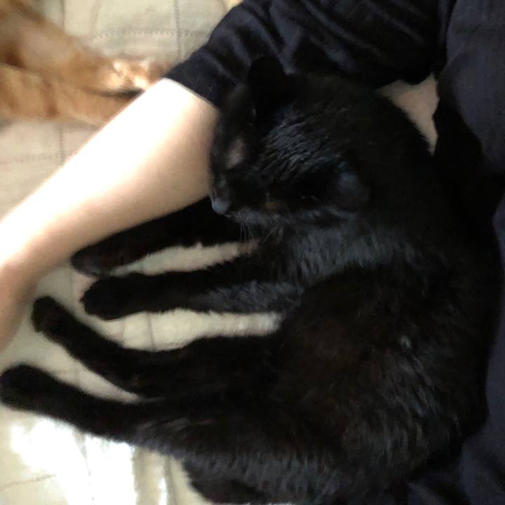 30ba3133 6e73 4460 bbbf 9aaf32c2532f 1565990565769