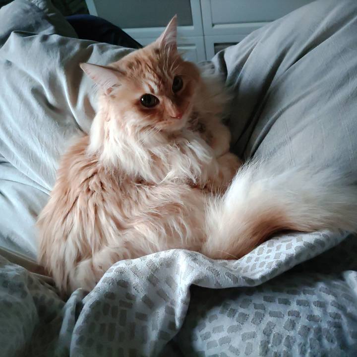 30ba5c9c 4960 4b9e a1e7 902b658b759d 1713737250939