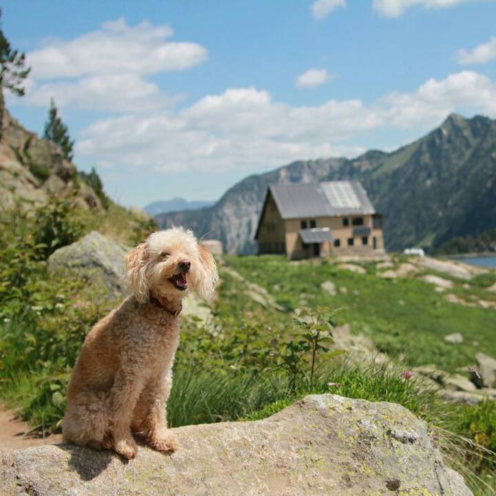 30ba643c 8c1a 4b74 ac2e 890ef40e6849 1593527147941