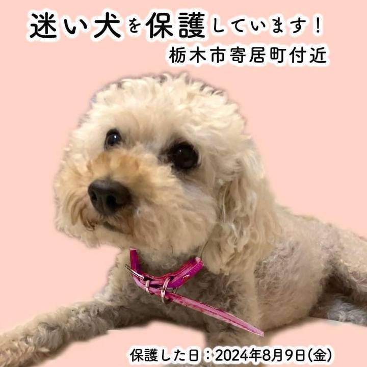 30baa437 3f67 436f 8fd8 d8d7c787f42f 1723248200000