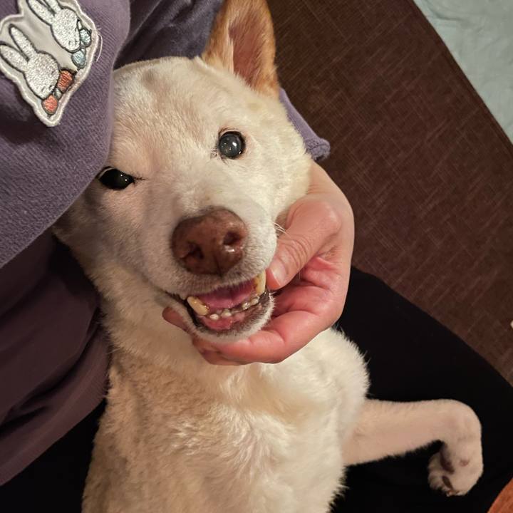 30badd3f d74b 41ea bed5 938fc4257fb6 1668592853216