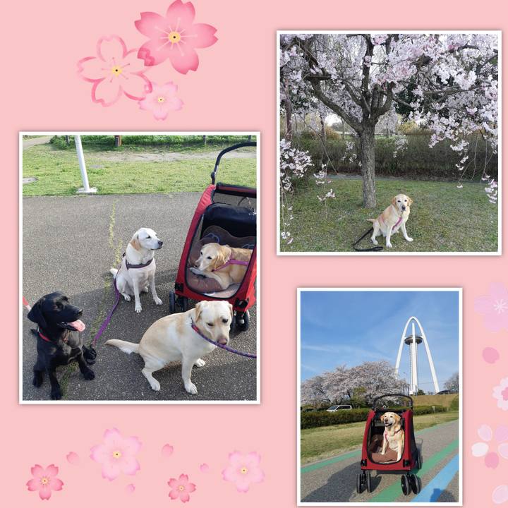 30bae704 1b98 4d2d a183 ea1fd9798028 1680314472598