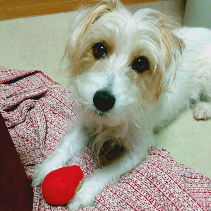 30bb2d13 c16e 4a7e 936a d1df2c46694d 1520091790877