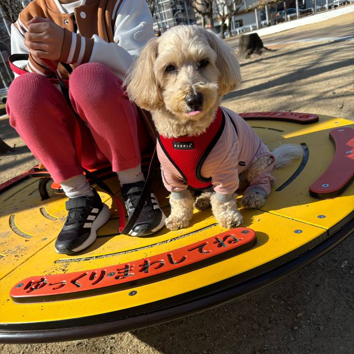 30bb34fa cb53 4aa8 b058 dda40a61b489 1768714736364