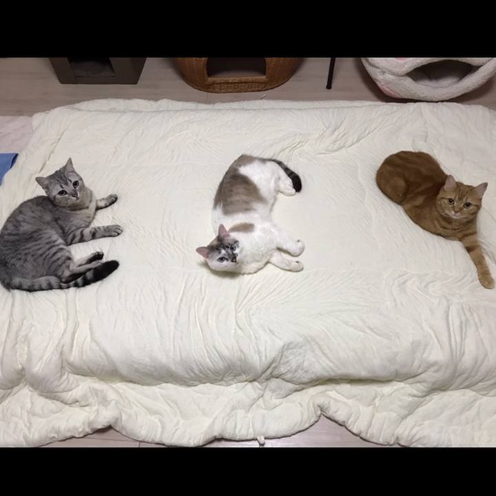 30bb372f 555a 45a5 8bd2 68fb95d26164 1525352737303