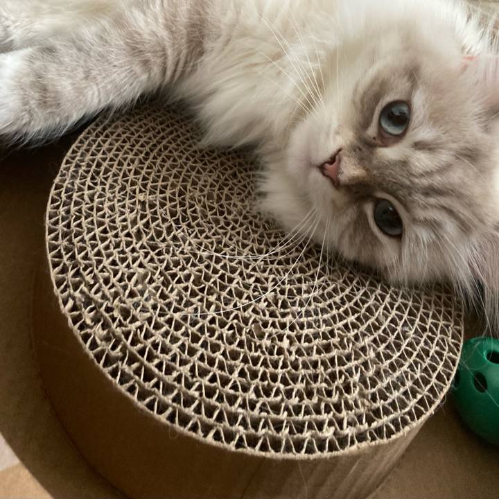 30bb7fb5 569d 4f0e b98b c0a909db16f3 1694175752942