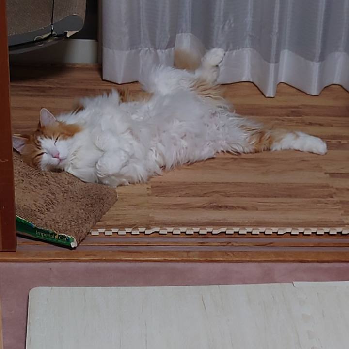 30bb85e8 5867 4eed 8888 10da04b2b4e8 1657293426024