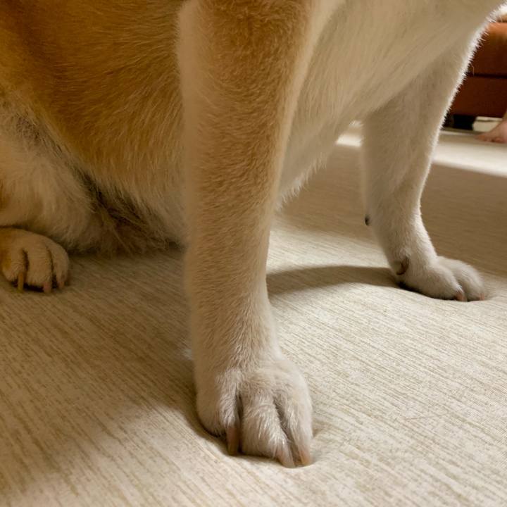 30bba87b 4897 41e5 b429 dfc06938dac5 1565529185933